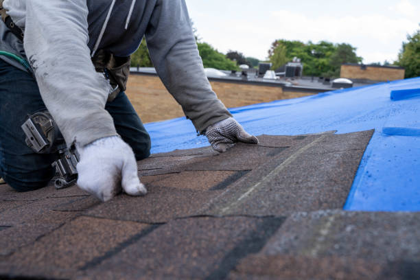 Best Metal Roofing Contractor  in Chantilly, VA